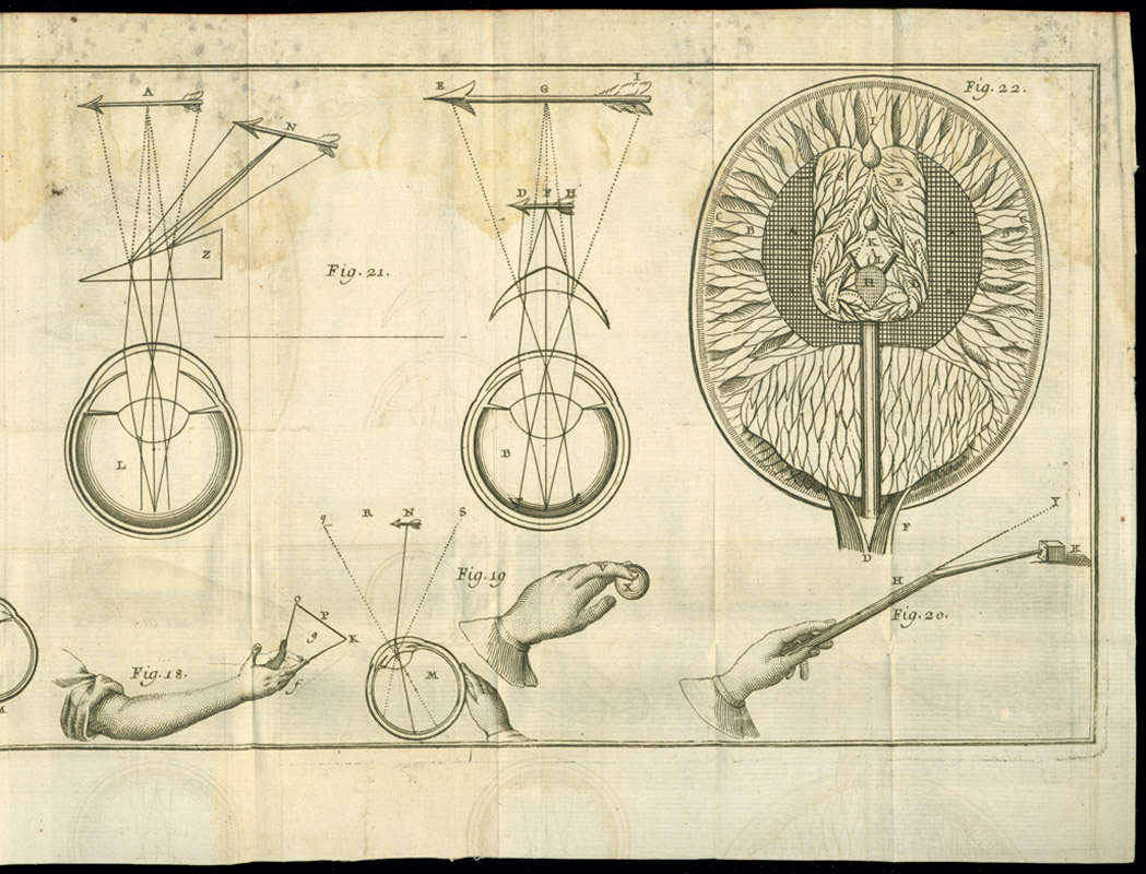 René Descartes, L’homme…. These drawings show the influence of Descartes’ knowledge of mathematics and geometry on his perception of how the body works.